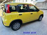 FIAT Panda FIN 1.0 70 cv Hybrid ADAS CON ROTTAMAZIONE