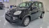 FIAT Panda 1.0 FireFly S&S Hybrid Pandina