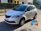 LANCIA Y Ecochic Platinum