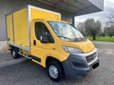 FIAT Ducato chassis 3.5 M 2.0mjt 115