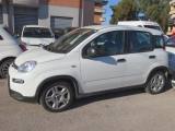 FIAT Panda Hybrid 1.0 FireFly 70cv EU6