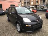 FIAT Panda 1.0 FireFly S&S Hybrid Pandina