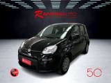 FIAT Panda 1.0 FireFly S&S Hybrid Nuova Pronta Consegna