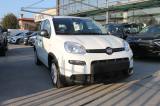 FIAT Panda 1.0 FireFly S&S Hybrid *PackCity*