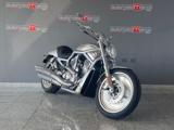 HARLEY-DAVIDSON 1130 V-ROD - VRSCA V ROD