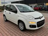 FIAT New Panda 1.2  S.&S. E6D-TEMP EASY 5 POSTI GUIDABILE NEOPA