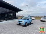 FIAT Panda 1.4 Dynamic Natural Power ANCHE PER NEOPATENTATI