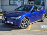 ALFA ROMEO Stelvio 2.2 Turbodiesel 190 CV AT8 Q4 Business