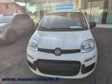 FIAT Panda PANDA my 251.0 Firefly 70CV Hybrid