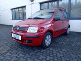 FIAT Panda 1.2 BENZINA OK NEOPATENTATO