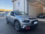 CITROEN C4 Cactus PureTech 130 S&S EAT6 Shine Pack