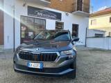 SKODA Karoq 2.0 TDI EVO SCR 115 CV DSG Executive