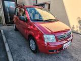 FIAT Panda 1.2 Dynamic  - NEOPATENTATI