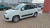 FIAT Panda 1.2 Lounge 1.2  5P   Aziendale 20.000  km  E6B