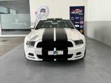 FORD Mustang 3.7 V6 livrea Roush interni Recaro