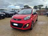 KIA Picanto 1.0cc 5P 68cv USB CLIMA USB AUTORADIO