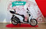 HONDA SH 150 SH 150