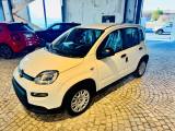 FIAT New Panda CAR PLAY - 5 POSTI - PACK CITY - KM 0 11/2024