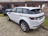 LAND ROVER Range Rover Evoque 2.0 TD4 150 CV 5p. SE Dynamic