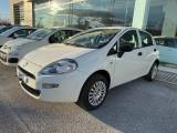 FIAT Punto 1.4 8V 5 porte Natural Power Street