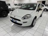 FIAT Punto 1.4 8V 5 porte Natural Power Street