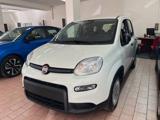 FIAT Panda 1.0 FireFly S&S Hybrid Pandina