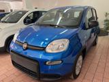 FIAT Panda 1.0 FireFly S&S Hybrid Pandina