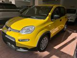 FIAT Panda 1.0 FireFly S&S Hybrid Pandina