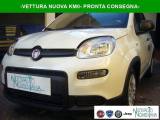 FIAT Panda 1.0 FireFly S&S Hybrid Pandina Urban Km 0