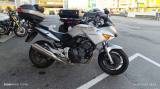 HONDA CBF 600 CBF 600