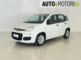 FIAT Panda 1.3 MJT 95 CV S&S Easy