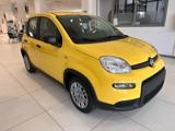 FIAT New Panda 1.0 ADAS Hybrid SENZA FINANZIAMENTO