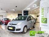 FIAT Panda 1.2 Lounge NEOPATENTATI