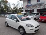 FIAT Punto 1.2 8V 5p Cinghia NUOVA Lounge