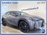 LEXUS UX 250h Hybrid Business