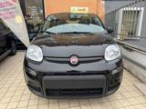 FIAT Panda 1.0 FireFly S&S Hybrid Pandina