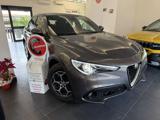 ALFA ROMEO Stelvio 2.2 Turbodiesel 190 CV AT8 Q4 Super Business
