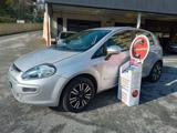 FIAT Punto Evo 1.2 Dynamic UNICOPROPRIETARIO - OTTIME CONDIZIONI