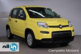 FIAT Panda Panda 1.0 70cv Hybrid Panda