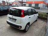 FIAT Panda 1.3 MJT S&S Easy Van 4 posti