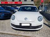 VOLKSWAGEN Maggiolino 1.6 TDI Design