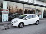 FIAT Punto 1.2 8V 3 porte Lounge