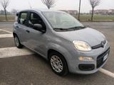 FIAT Panda 1.0 FireFly S&S Hybrid**25.000 Km**