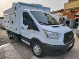 FORD Transit 350 2.0TDCi EcoBlue 130CV surgelati piastre