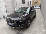 JEEP Cherokee 2.2 Mjt AWD Active Drive II Overland