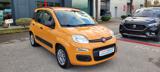 FIAT Panda 1.2 EasyPower Easy