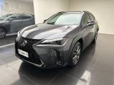 LEXUS UX 250h UX Hybrid Design