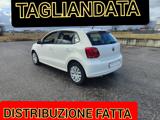 VOLKSWAGEN Polo 1.4 5 Benz. 5 Porte ( GARANZIA )