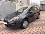 FIAT Punto Evo 1.2 BENZINA 5 PORTE OK NEOPATENTATI  !!!!