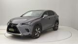 LEXUS NX 300h 300h 2.5 Luxury 4wd cvt